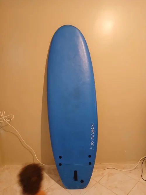 Planche à voile et paddle 
