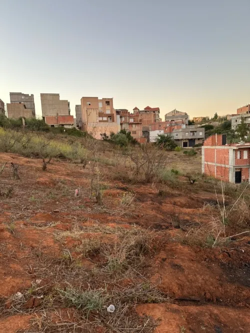 Vente Terrain Alger Saoula