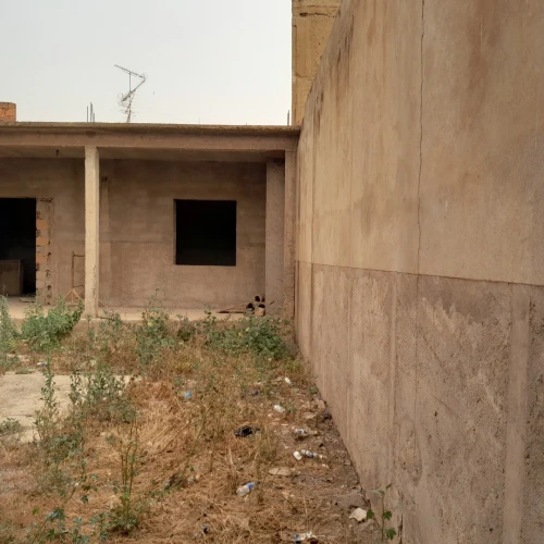 Vente Terrain Tlemcen Remchi