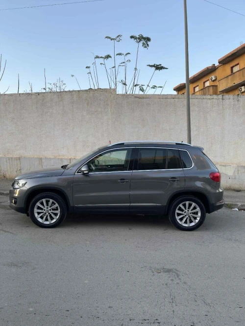 Volkswagen Tiguan 2015 Cup