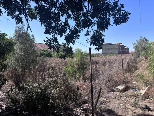 Vente Terrain Blida Bouinan