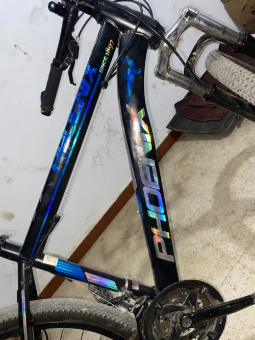 Vélo phoenix