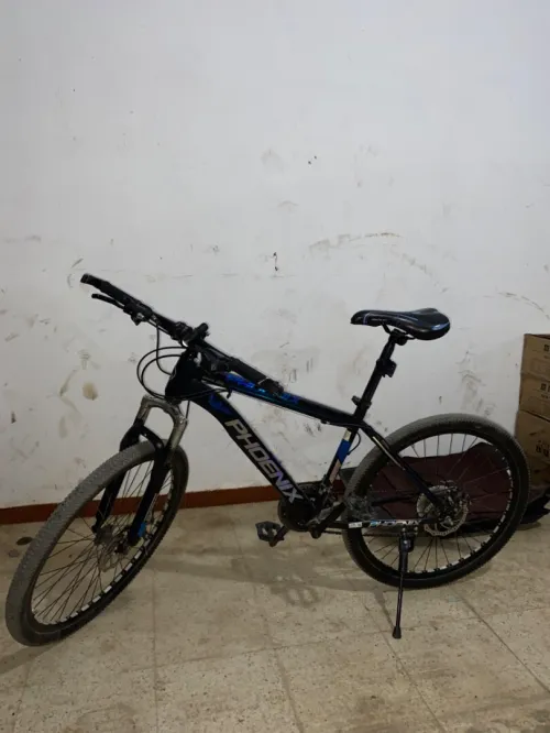 Vélo phoenix