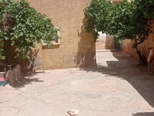 Vente bien immobilier Sidi Bel Abbès Boukhanafis