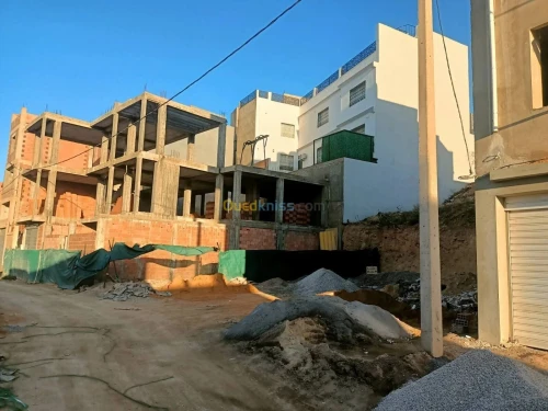 Vente Terrain Chlef Chlef