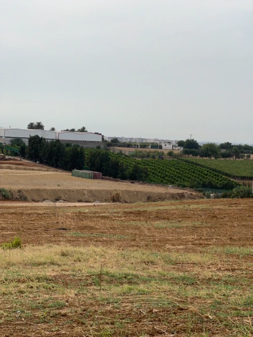 Location Terrain Boumerdès Ouled moussa