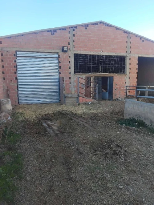 Location Hangar - Usine Batna Ouyoun el assafir