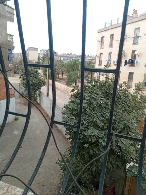 Vente Appartement F5 Oran Oran