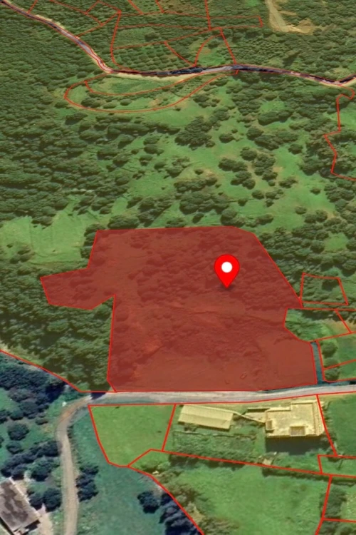 Vente Terrain Boumerdès El kharrouba