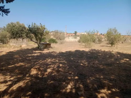 Vente bien immobilier Mostaganem Sidi ali