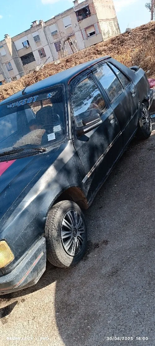 Peugeot 309 1988 309