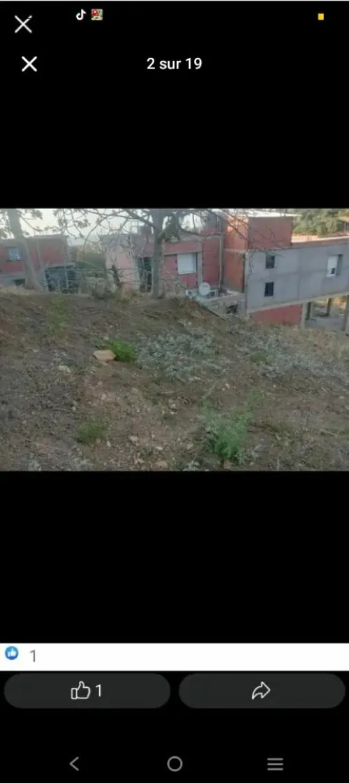 Vente Terrain Tipaza Cherchell