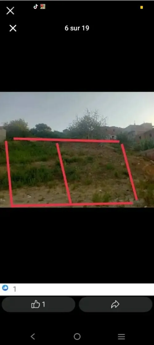 Vente Terrain Tipaza Cherchell