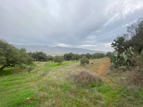 Vente Terrain Béjaïa Ouzellaguen