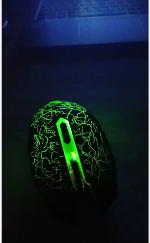 Souris 