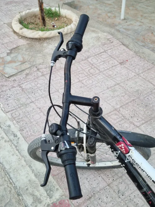 Bitwin rochrider 