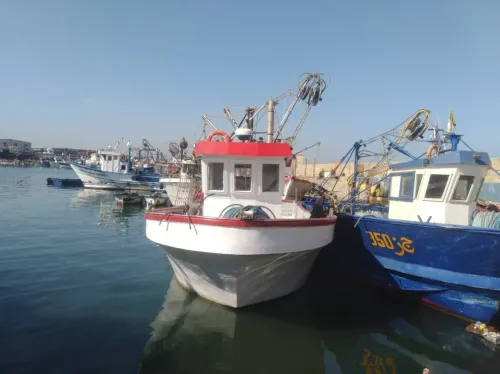 sardinier en activité a vendre