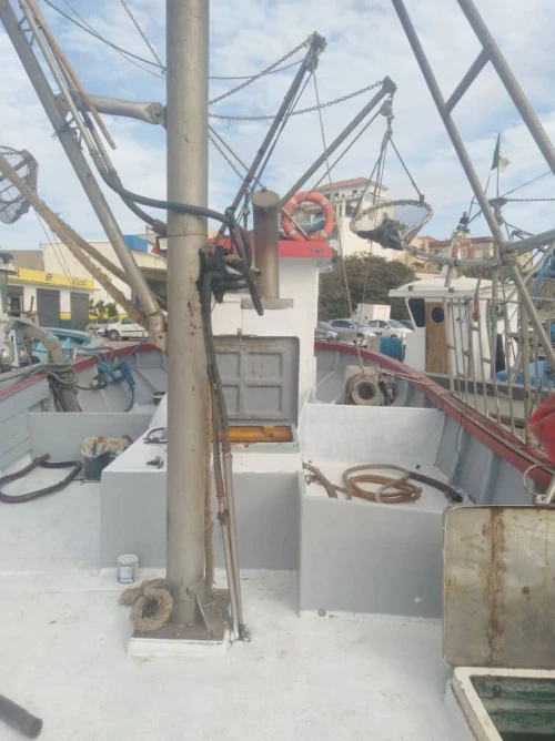 sardinier en activité a vendre