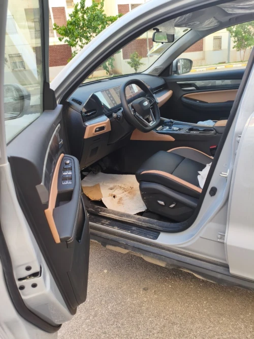 Geely Pro 2025 Haoyue
