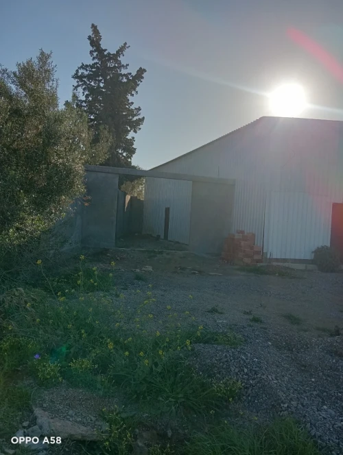 Location Hangar - Usine Boumerdès Ouled moussa