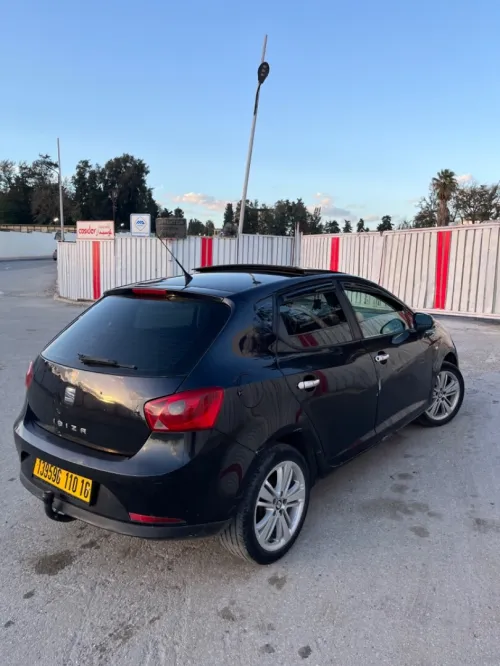 Seat Ibiza 2010 Loca