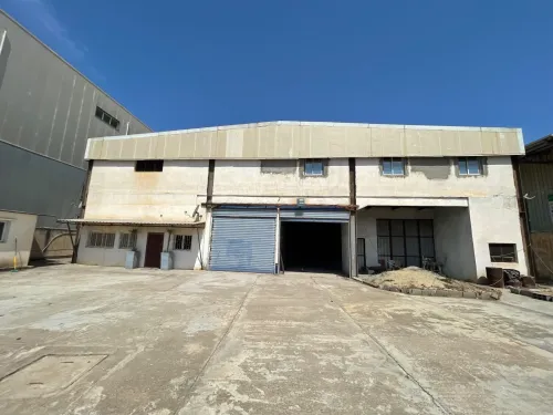 Location Hangar Alger Staoueli