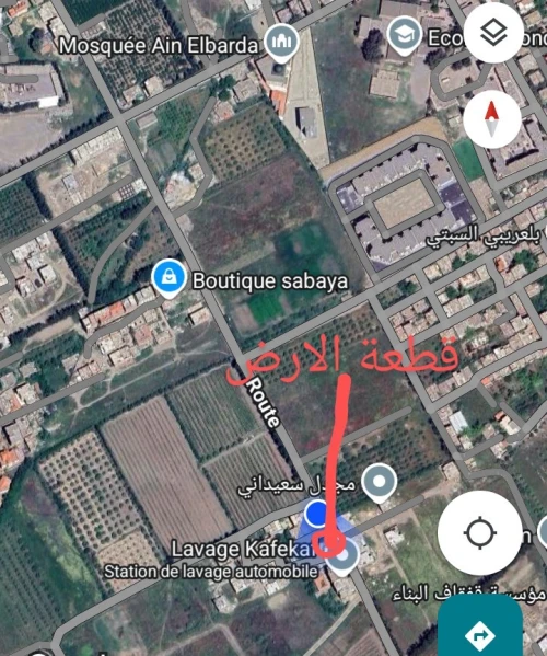 Vente Terrain Blida Bougara