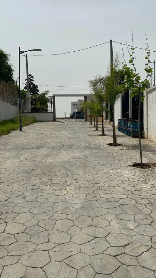 Vente Appartement F4 Alger Mohammadia