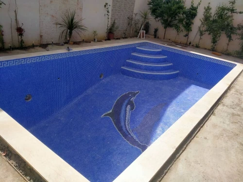 Construction et réalisation de piscine 