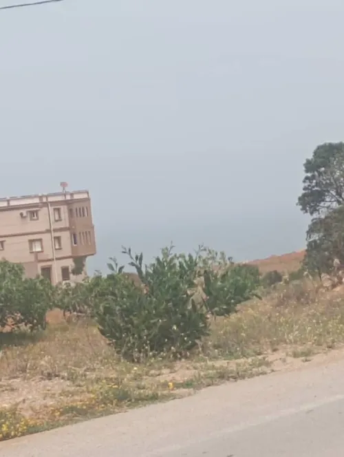 Vente Terrain Tlemcen Tlemcen