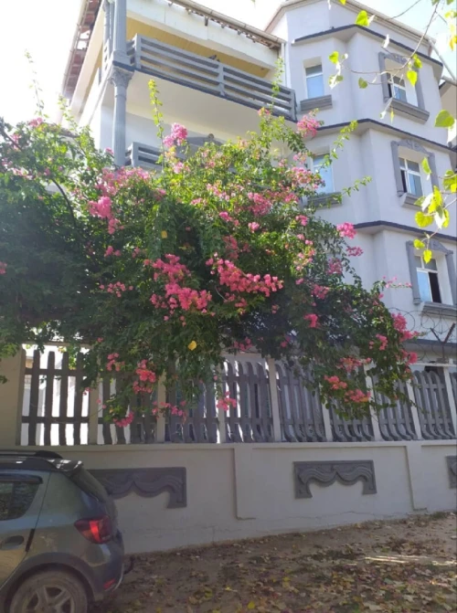 Vente Villa El Tarf El kala