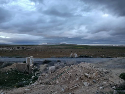 Vente Terrain Agricole Bouira Hadjera zerga