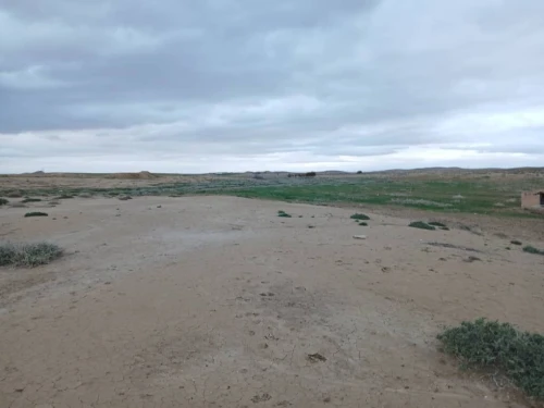 Vente Terrain Agricole Bouira Hadjera zerga
