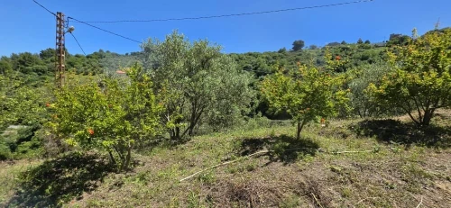 Vente Terrain Béjaïa Bejaia