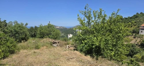 Vente Terrain Béjaïa Bejaia