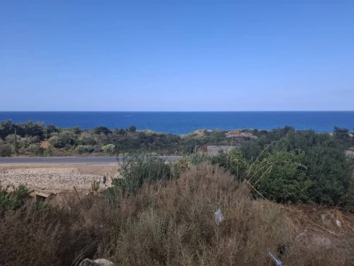 Vente Terrain Béjaïa Toudja