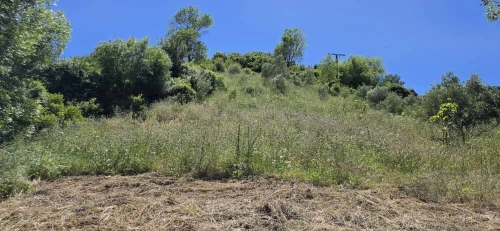 Vente Terrain Béjaïa Bejaia