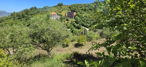 Vente Terrain Béjaïa Bejaia