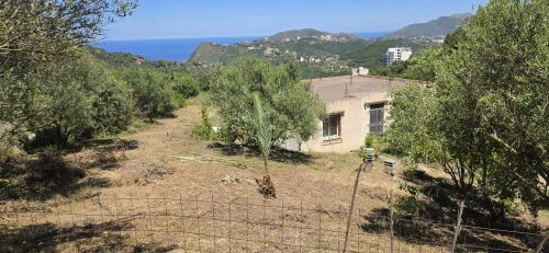 Vente Terrain Béjaïa Bejaia