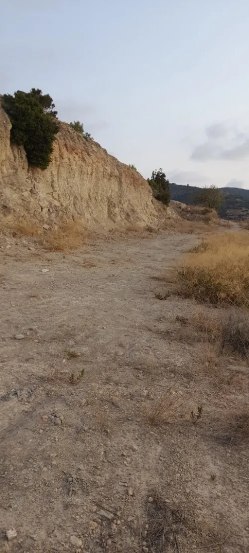 Vente Terrain Tlemcen Honaine