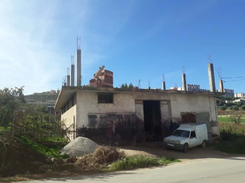 Vente Terrain Tlemcen Chetouane