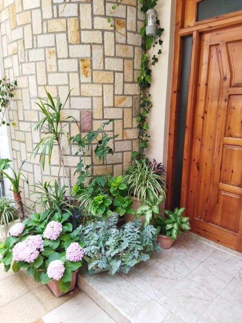 Location vacances Appartement Niveau de villa F2 Jijel Jijel