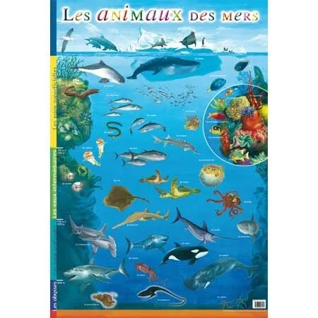 Posters à thèmes