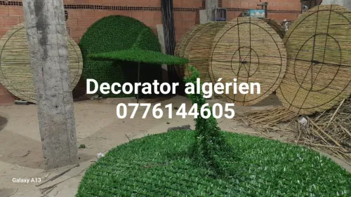Parasol de plage artistique