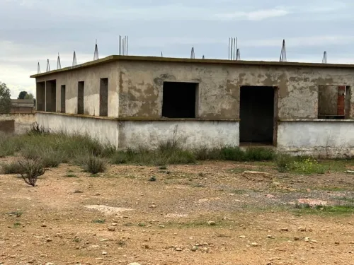Vente Terrain Oran Ben freha