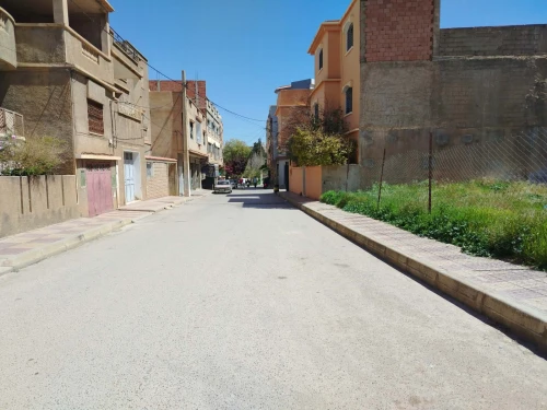 Vente Terrain Tlemcen Mansourah