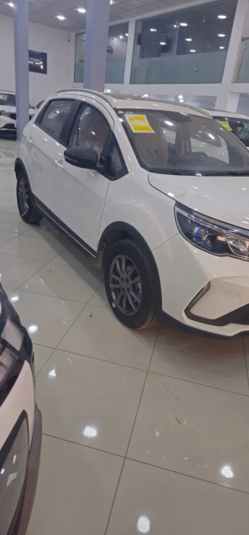 Lifan Gex3 2025 Bro3