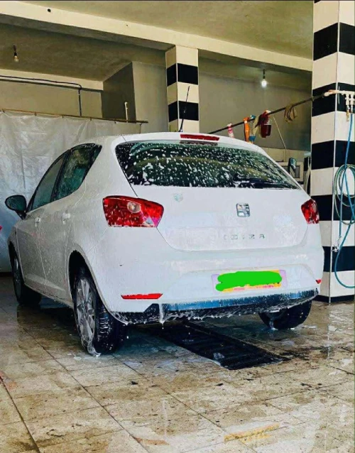 Seat Ibiza 2018 Sol