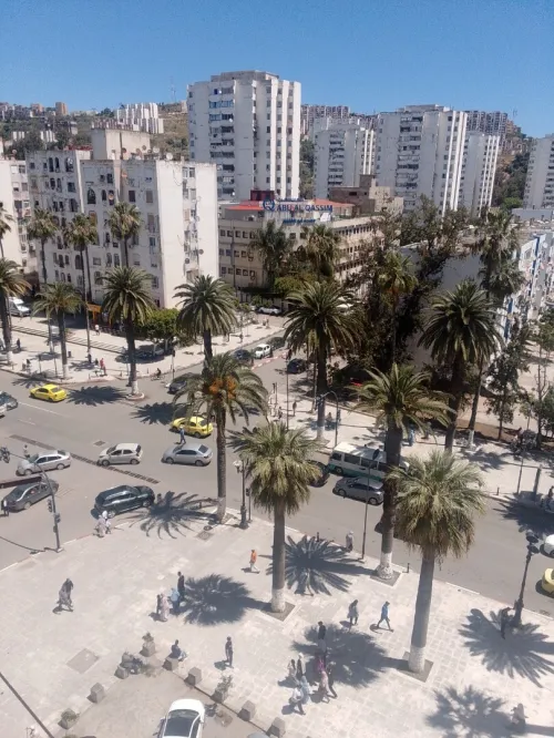 Location Appartement F3 Skikda Skikda