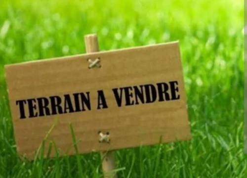 Vente Terrain Boumerdès Zemmouri